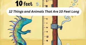 12 Things and Animals That Are 10 Feet Long