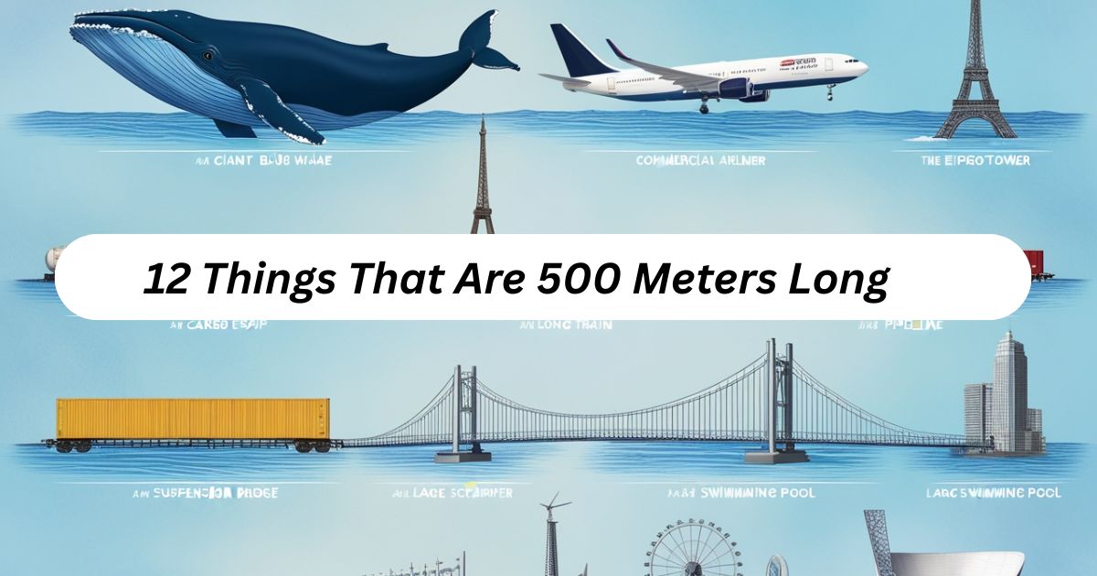 12 Things That Are 500 Meters Long: Complete Visual Guide to Massive Structures