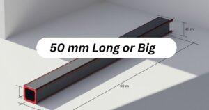 16 Common Things That Are 50 mm Long or Big