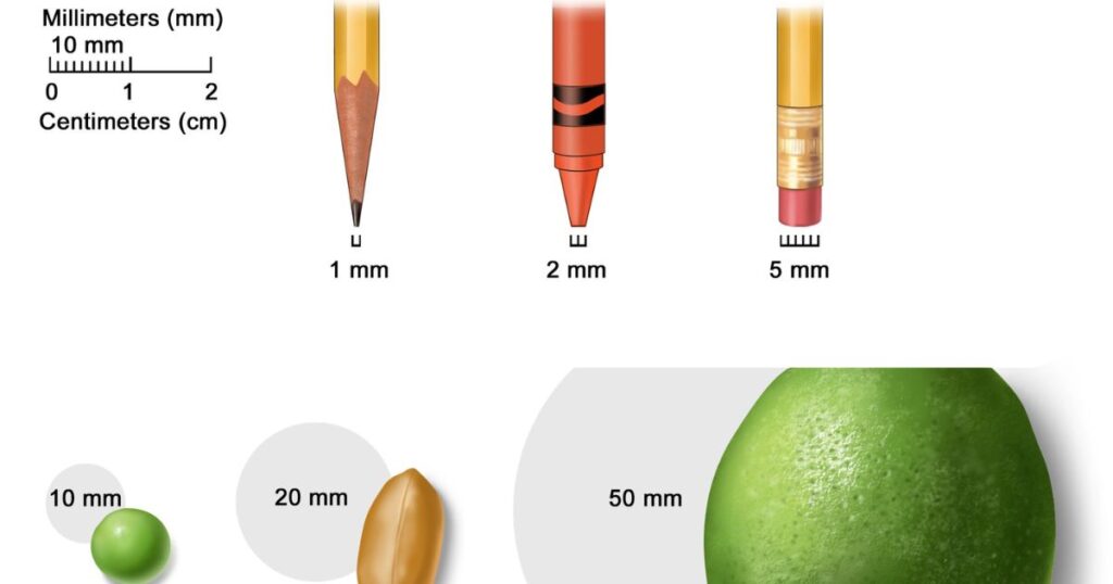 Common Items That Are 2 Millimeters Thick: Professional Reference Guide