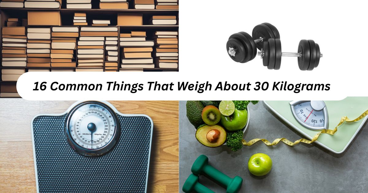 How Heavy is 30kg? 16 Common Things That Weigh About 30 Kilograms (Kg)