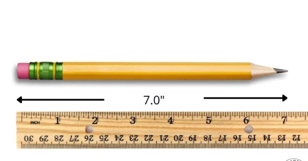 Accurate Measurement Examples: Objects That Match 8 Inches Exactly