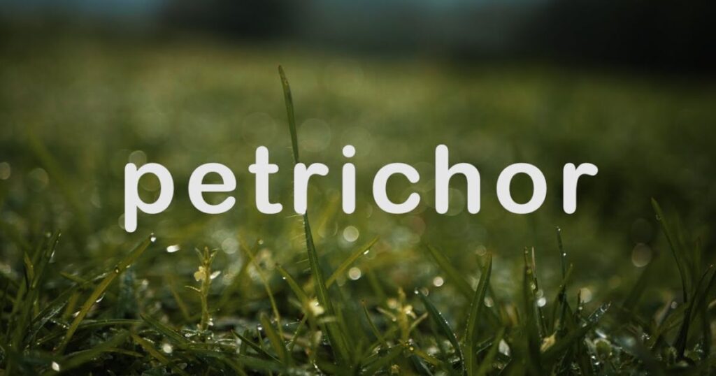 Petrichor