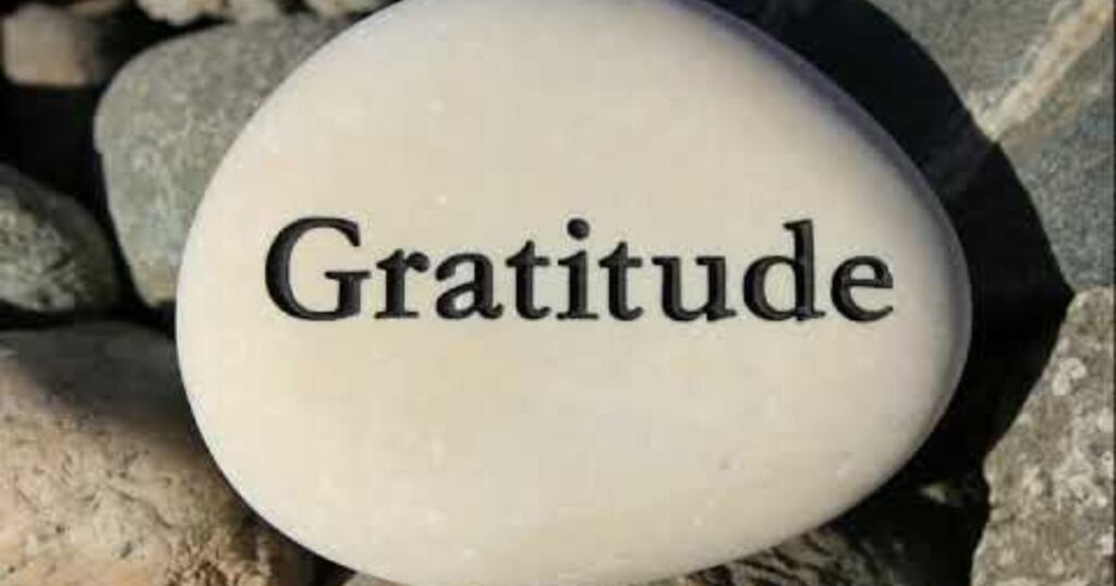 Warm and Personal Gratitude Phrases (21-30)