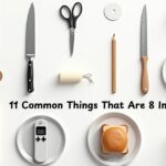 11 Common Things That Are 8 Inches Long – Everyday Examples You’ll Recognize