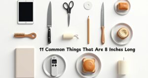 11 Common Things That Are 8 Inches Long – Everyday Examples You’ll Recognize