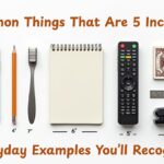 13 Common Things That Are 5 Inches Long – Everyday Examples You’ll Recognize
