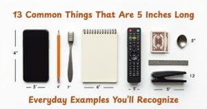 13 Common Things That Are 5 Inches Long – Everyday Examples You’ll Recognize