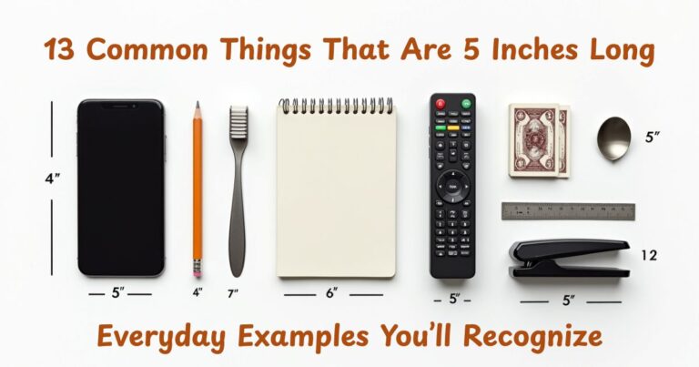 13 Common Things That Are 5 Inches Long – Everyday Examples You’ll Recognize
