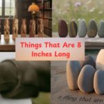 15 Common Things That Are 8 Inches Long