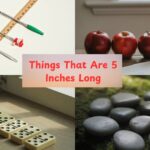 16 Common Things That Are 5 Inches Long
