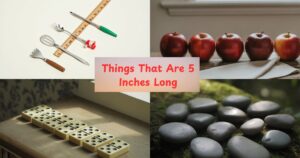 16 Common Things That Are 5 Inches Long