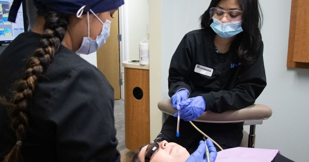 Education and Career as a Dentist