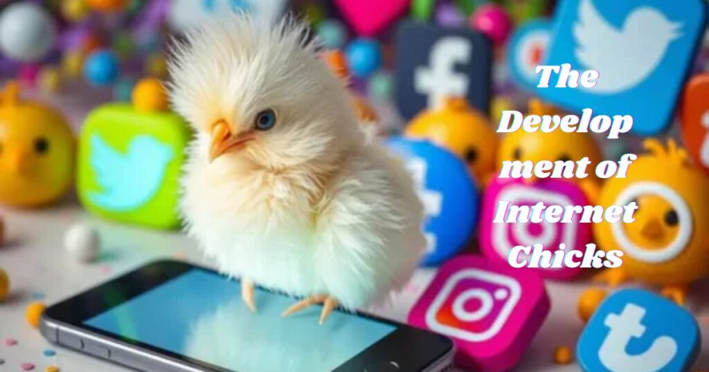 The Development of Internet Chicks