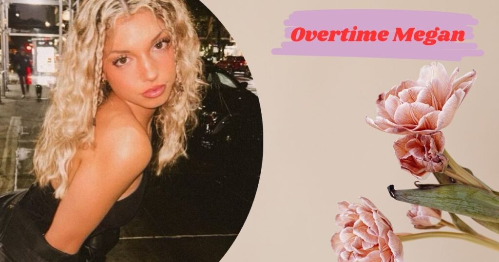 Why Did Overtime Megan Delete Her TikTok?