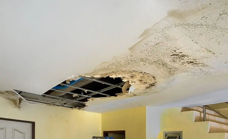Ceiling Drips After a Storm Often Start With Roof Damage